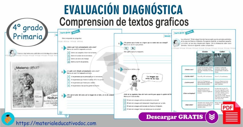 Evaluación Comprensión de textos gráficos
