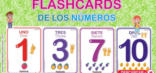 Flash Cards de los números