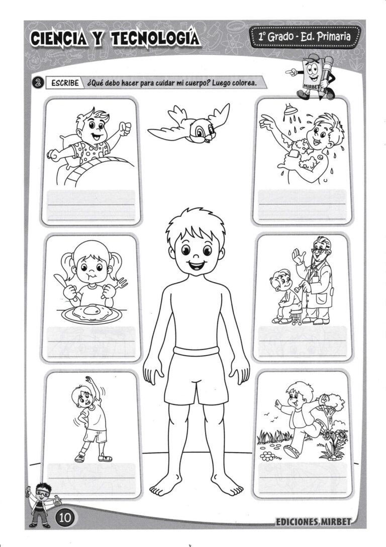 Cuaderno de trabajo área Ciencia y Tecnología 1º grado primaria.