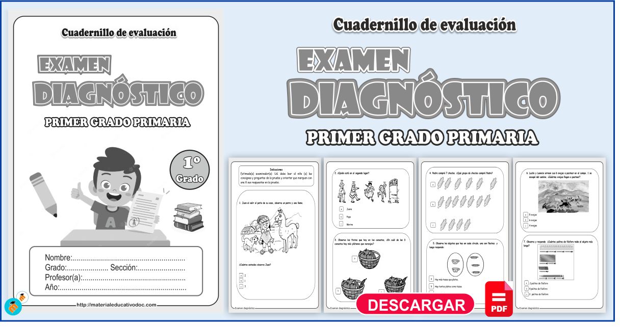 Examen Diagnostico Primer Grado De Primaria – eroppa