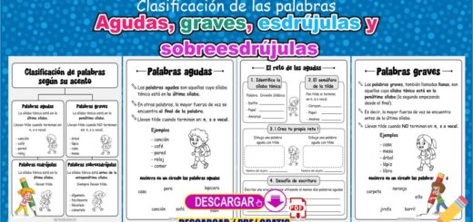 Clasificacion de palabras