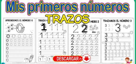 Trazos de mis primeros números